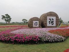 -嘉北郊野公园