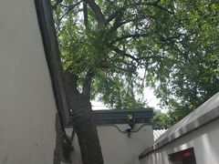 -北京鲁迅博物馆(北京新文化运动纪念馆鲁博馆区)