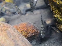 -梅州天地人花园酒店(梅县人民广场店)