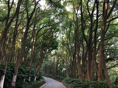 -上海市保健医疗中心(华东疗养院)