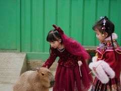 -成都欢乐谷