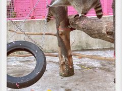 -金庭庄园酒店-停车场