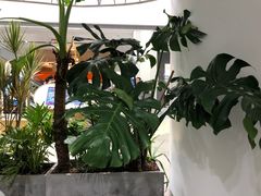 -M Stand(宁波万象城店)