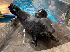 -成都浩海立方海洋公园