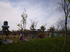 -上海长兴岛郊野公园