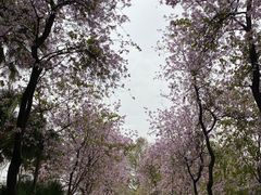 -广州动物园