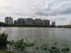 -南翔镇银翔湖公园