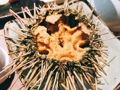 海胆-松竹和日式料理(辽阳店)