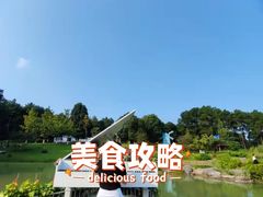 -铁山坪森林公园