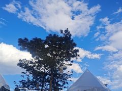 -云禾壹海景庄园餐厅