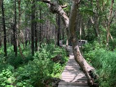 -白草畔自然风景区