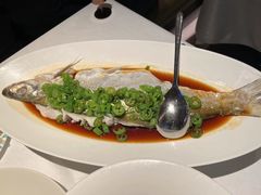 -桂满陇·海市蜃楼·黑金(国金店)