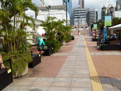 -九龙公园