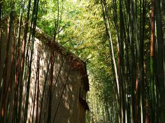 -竹泉村旅游度假区