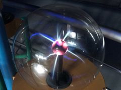 -陕西自然博物馆