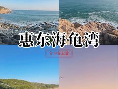 -广东惠东海龟国家级自然保护区