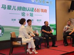 -牛街·马辈儿涮肉(牛街总店)