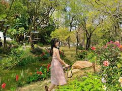 -人民公园(罗湖区)