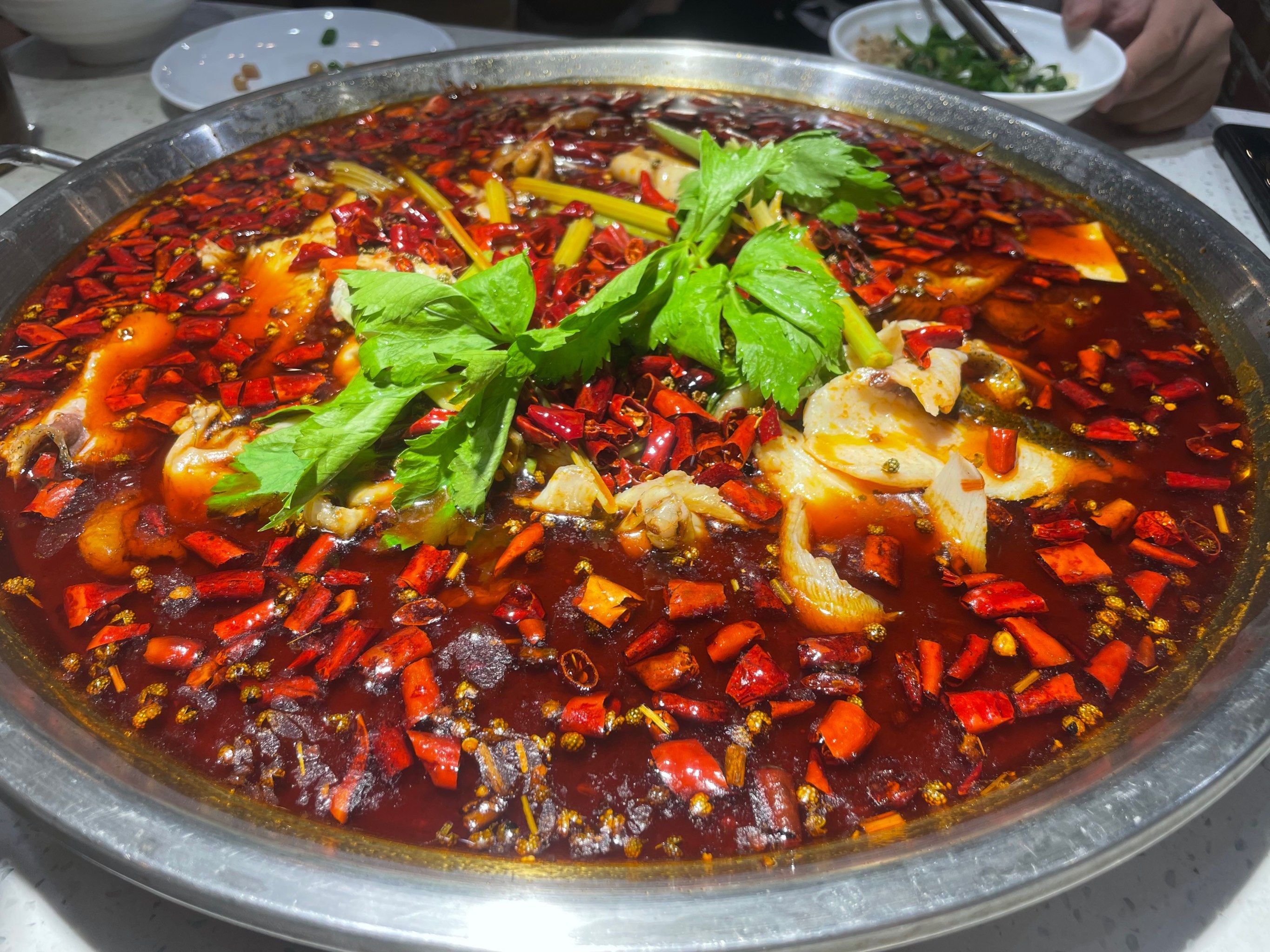 热气腾腾的鱼火锅之夜