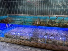 -海韵之星邮轮水会(明发商业广场店)