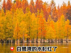 -白鹭湾湿地公园