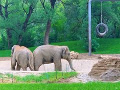 -北京野生动物园