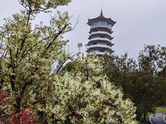 -裕新楼粉面馆·石磨手工粉(四方坪店)