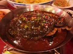 红烧甲鱼-不倒翁·徽天下名菜楼(马鞍山路店)