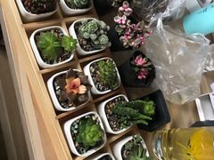 -秦美花卉(天朗·莱茵小城2期店)
