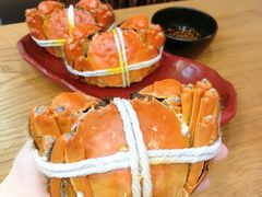 -黄记大闸蟹专卖店·活蟹·醉蟹