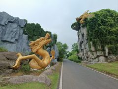 -宜兴龙背山森林公园