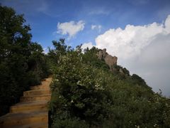 -白草畔自然风景区