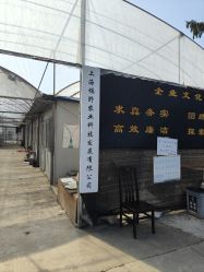 -前小桔亲子创意农场·草莓采摘·露营烧烤