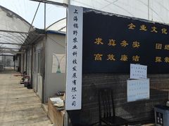 -前小桔亲子创意农场·草莓采摘·露营烧烤
