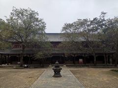 -灵谷景区