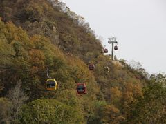 -栾川竹海野生动物园