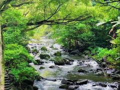 -广州市石门国家森林公园