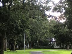 -南宁良凤江国家森林公园