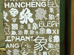 -象山森林公园