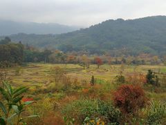 -塔川景区