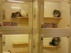 -龙猫仔乐园(惠福东路店)