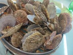 -京秀缘蒸汽海鲜农家菜大馅蒸饺