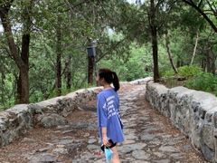 -阳台山自然风景区