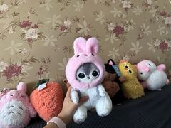 -可爱抓 COCO  GOTCHA(天津鹏欣水游城店)