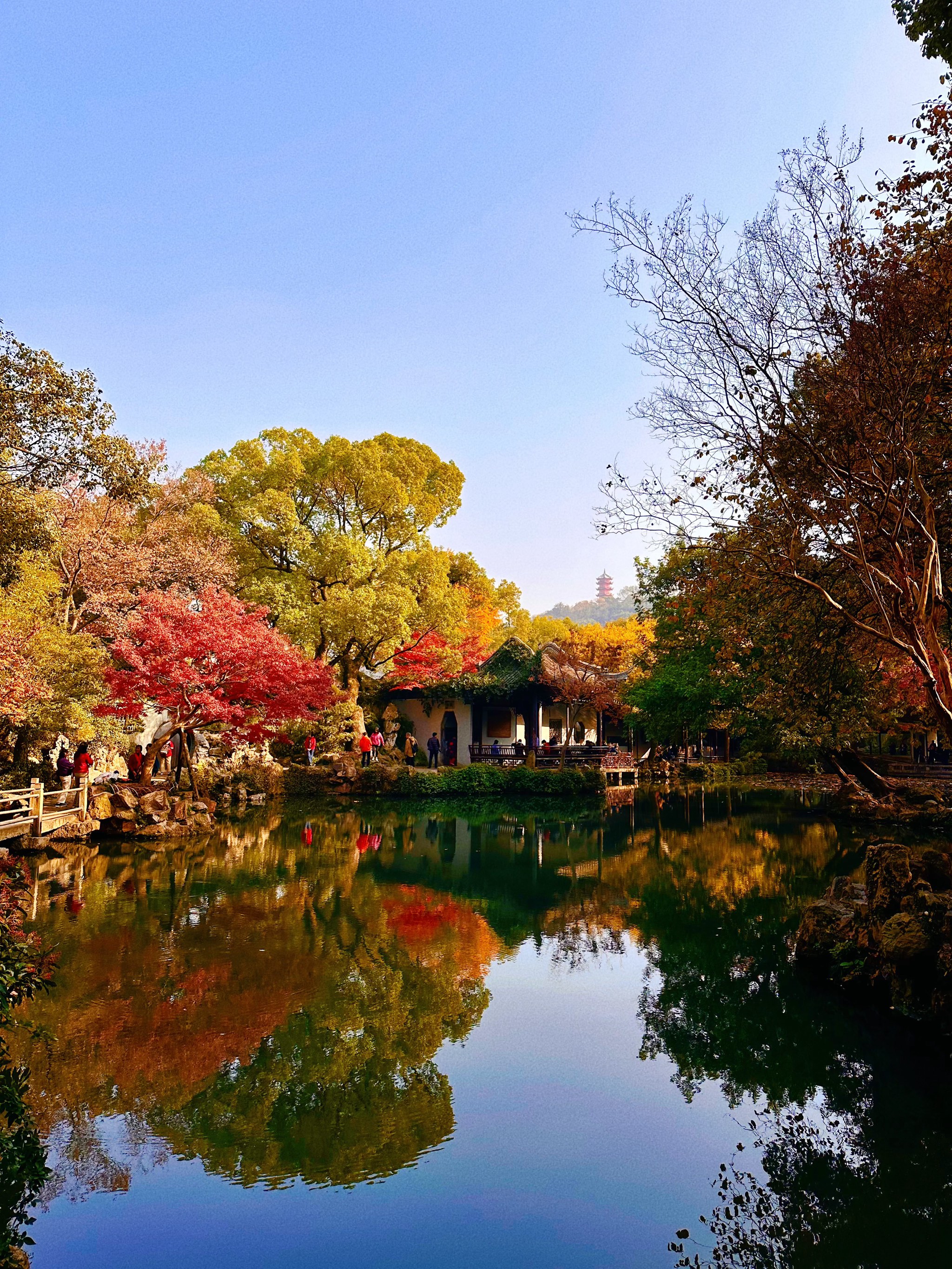 寄畅园假山图片