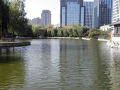 -紫竹院公园冰场