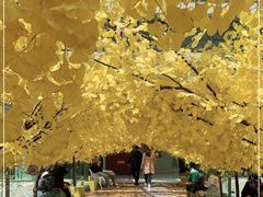 -义乌之心城市生活广场(新马路店)