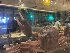 -新花城蟹粉馆(乌鲁木齐店)