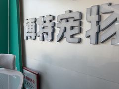 -博特宠物医院24h犬猫全科.骨科·异宠