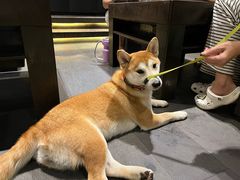 -夜食白市Yespicy·烧烤啤酒宵夜(番禺四海城店)
